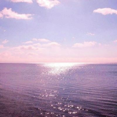 皇冠官网app下载安装截图