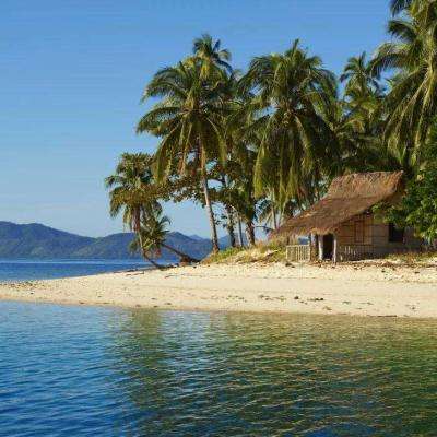 捕鱼达人2 1.3.6安卓版下载