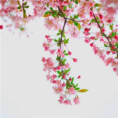 yabo官网网页版手机app下载